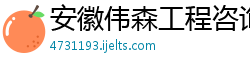 安徽伟森工程咨询有限公司